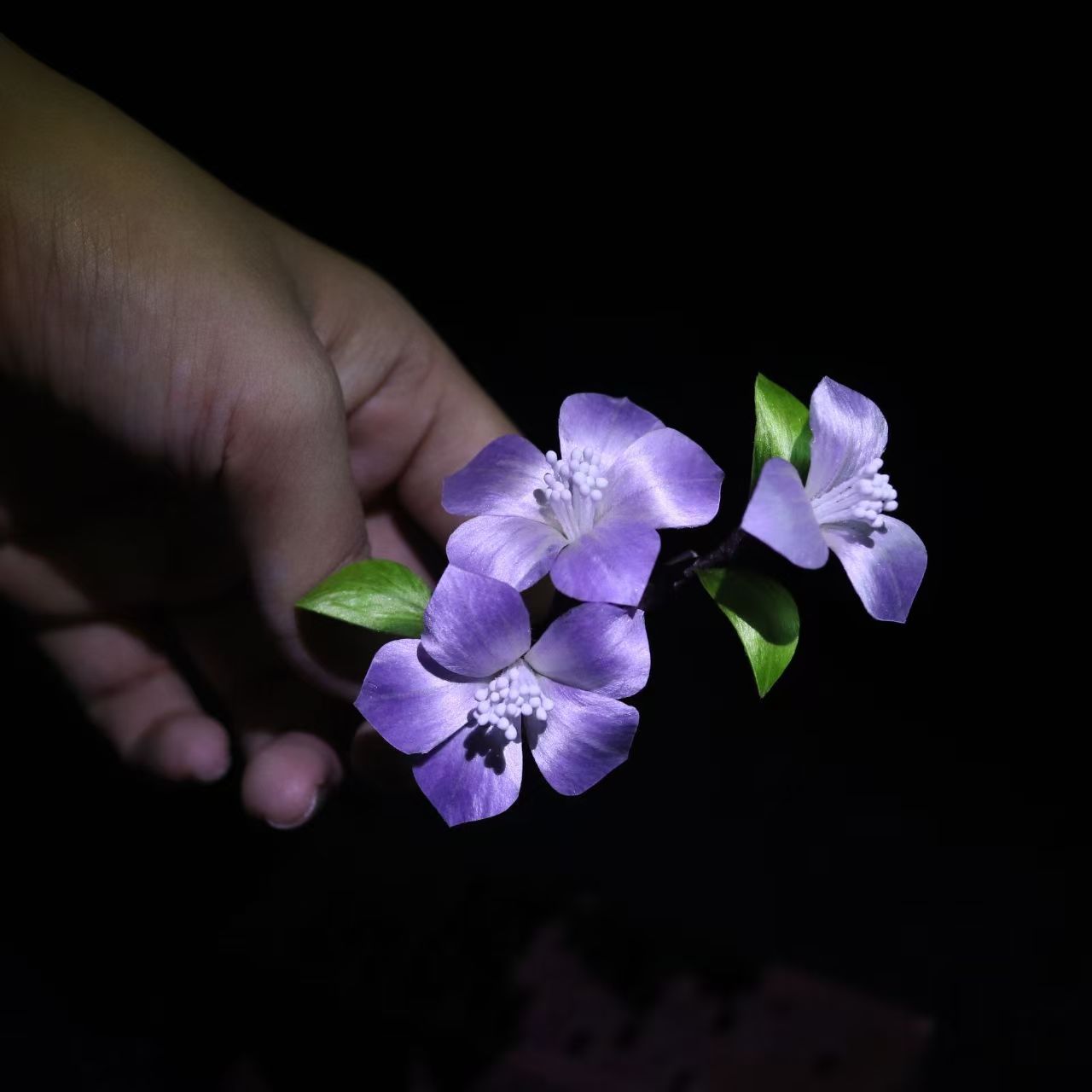 Ronghua, taste of spring